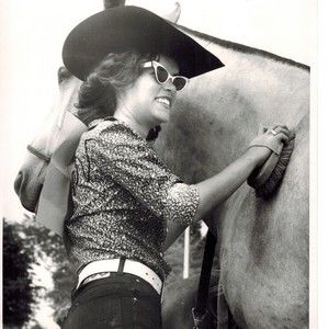 Meet your Posher, Steve